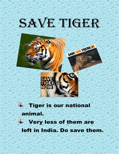 Save Tiger Akku