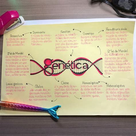 Mapa Mental Sobre Genética