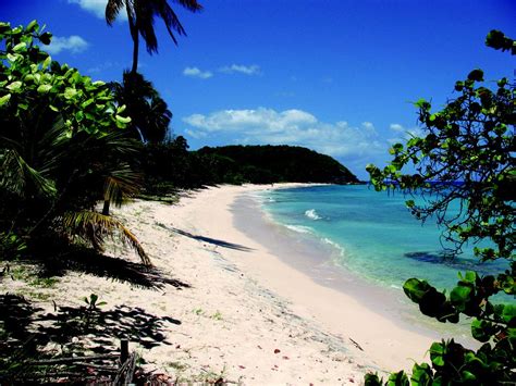 Guadeloupe Island Travel Vacation And Holiday Guide