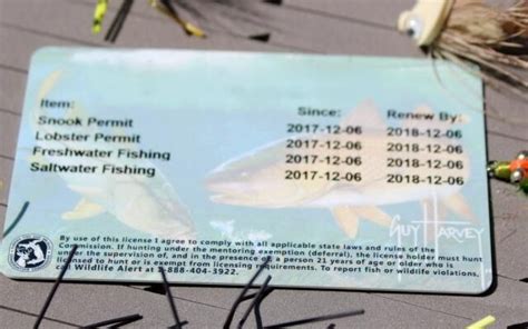 The Ultimate Guide To Disabled Fishing Licenses In The Usa Fishing