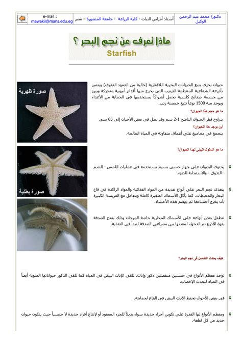 Pdf Starfish ماذا تعرف عن نجم البحر؟