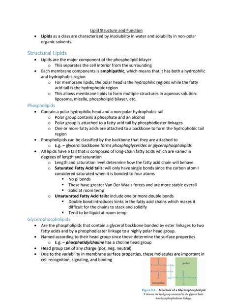 SOLUTION: Lipid structure and function - Studypool