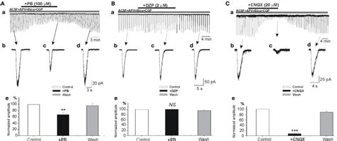 Phenobarbital But Not Diazepam Reduces AMPA Kainate Mediated Currents