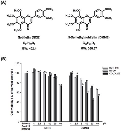 Effect Of Nob And Dmnb On The Growth Of Hct Ht And Colo