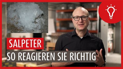 Salpeter Erkennen Und Entfernen So Reagieren Sie Richtig Bei