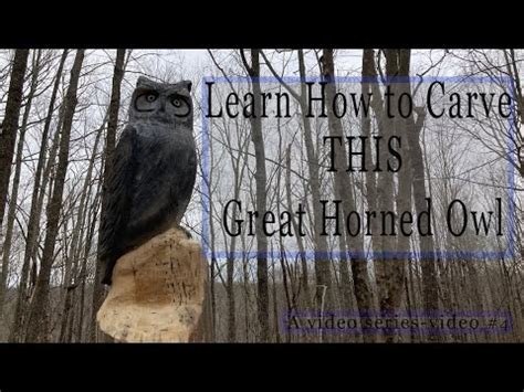 How To Block The Owl With A Chainsaw Video 4 Chainsaw Carving The