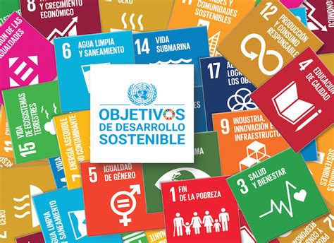 Dirección De Apoyo A La Investigación Objetivos Del Desarrollo Sostenible De La Onu