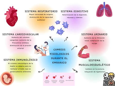 Grafico Mapa Conceptual Sencillo Multicolor Carlos Daniel Udocz