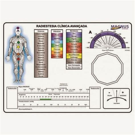 Como estão seus chakras