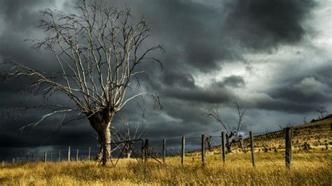 Tormenta Tropical Ileana As Afectar Hoy De Septiembre A