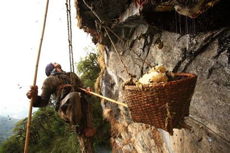 Honey Hunters Of Nepal Album On Imgur