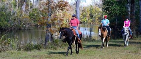 Becks Fish Camp And Nature Preserve Updated January 2025 23 Photos