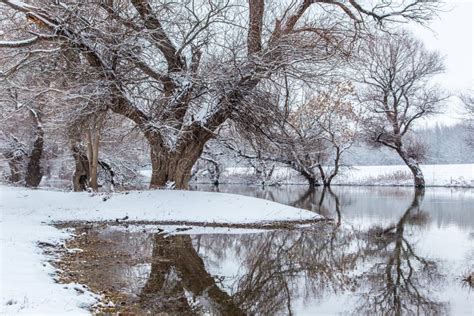 Winter in Madison, Wisconsin Stock Photo - Image of bridge, cold: 24548976