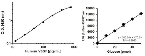 Calculating Concentration From A Standard Curve Abcam