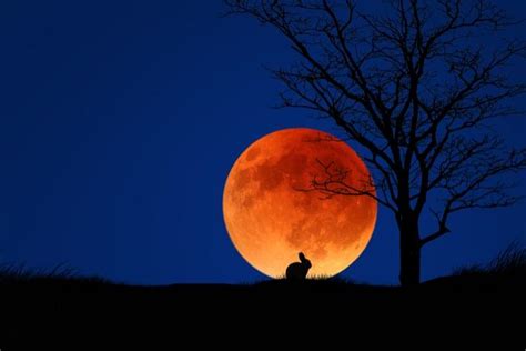 SUPERLUNA Di Sangue Miti E Leggende Dell ECLISSI Del 21 Gennaio