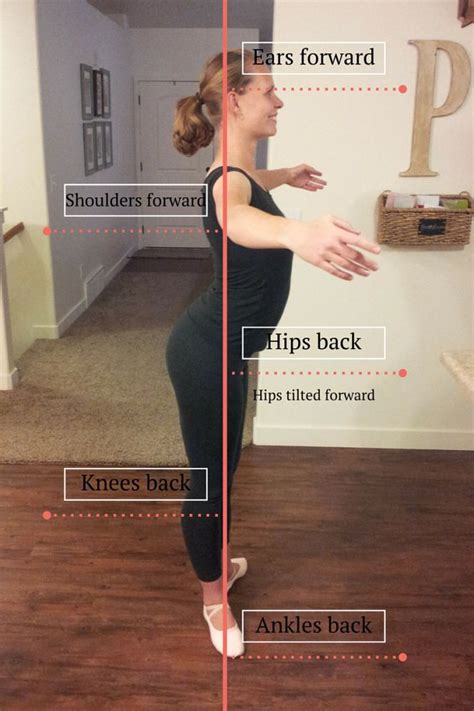 Ballet Basics Posture And Alignment Ballet Basics Ballet Exercises