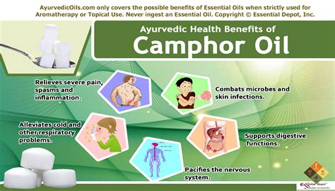 Uses Of Camphor Oil Essential Oil