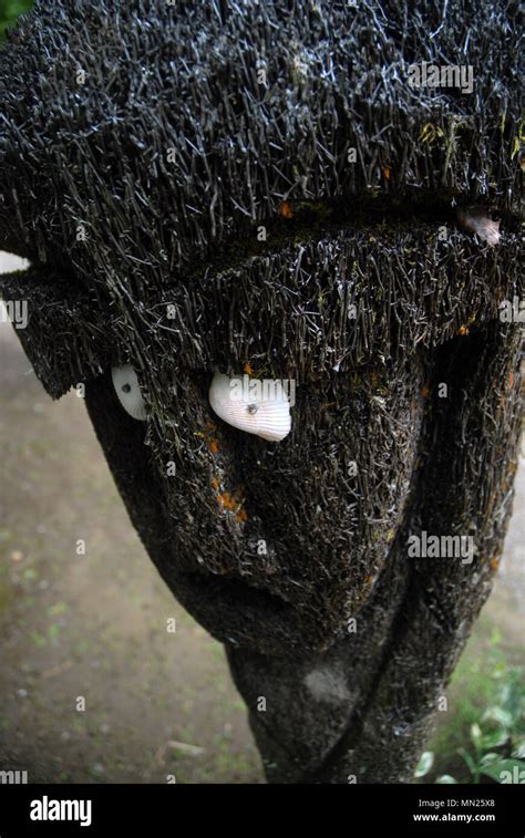 Tiki Tree Head Pacific Harbour Fiji Stock Photo Alamy