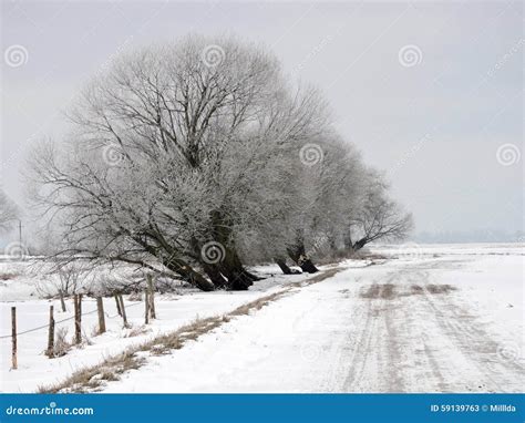 Lithuanian Winter Landscape Stock Image - Image of black, view: 59139763