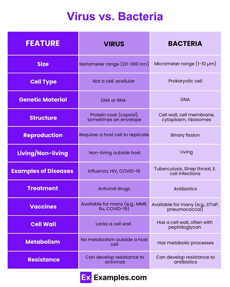 Virus Vs Bacteria Differences Explained With Meanings Types