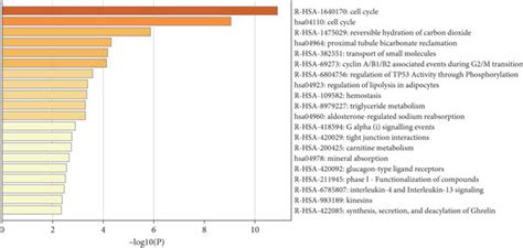 Deg And Neighbouring Gene Enrichment Analysis In Coad Using Metascape