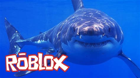 Je Devien Le Plus Gros Requin Du Monde Ou Pas Youtube