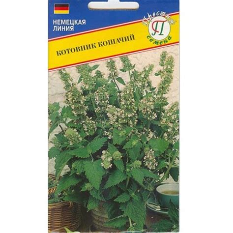 Котовник кошачий Престиж (65727): купить семена почтой в России ...