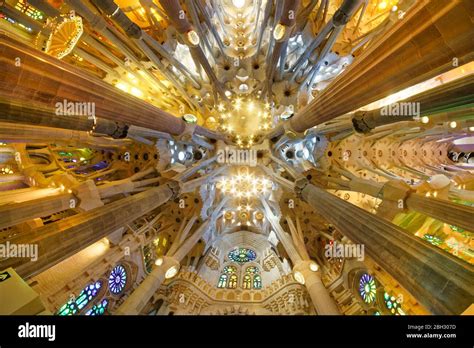 Techo en la Catedral de la Sagrada Familia de Antoni Gaudí Barcelona