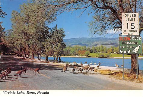 Virginia Lake - Reno, Nevada | United States - Nevada - Reno, Postcard ...