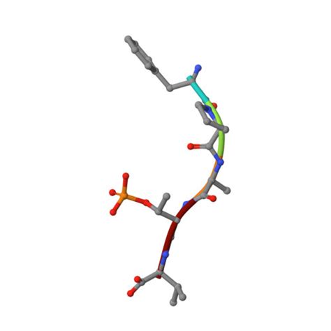 Rcsb Pdb 8bzh Fc Nac Stabilizer Of 14 3 3 And Eralpha