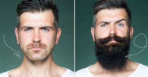 Beard Growth Kit Beard Care Kit Long Beard Styles Hair And Beard