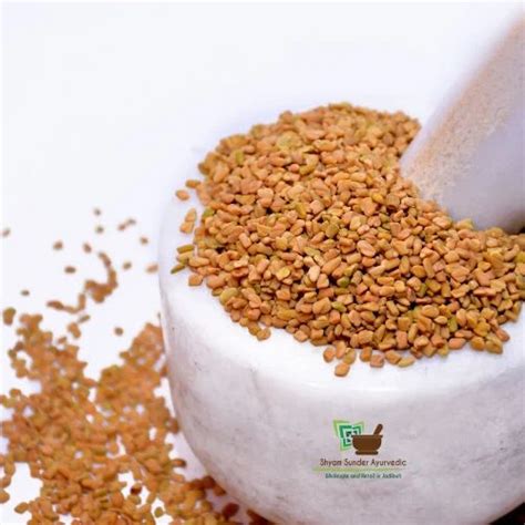 Fenugreek Seeds Methi Dana At Rs 90 Kg Herbal Seed In Hyderabad ID