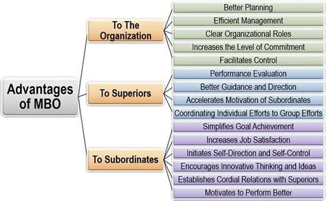 What Is Management By Objectives Mbo Definition Elements Characteristics Process