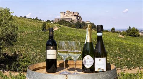 20 Best Italian Wine Brands | Italy Best