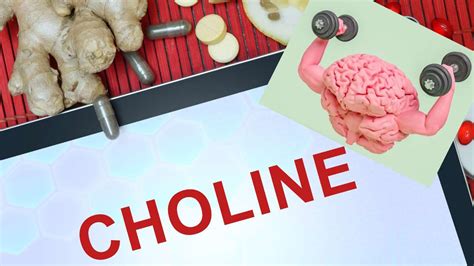 Choline Rich Foods For Vegetarians: Boost Brain Health