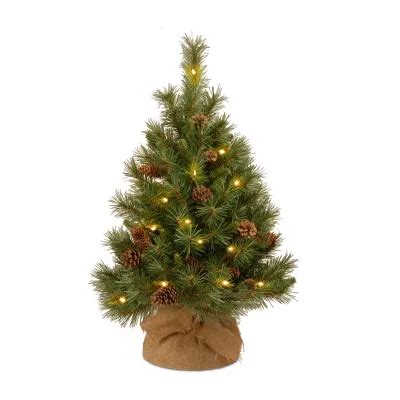 National Tree Co Pine Cone Burlap 3 Foot Pre Lit Pine Christmas Tree