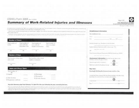 Osha Form 300a Printable Tutore Org Master Of Documents