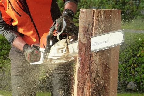 Top Best Chainsaw Sharpeners Tdh Us