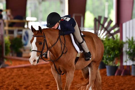 About - Jacksonville Equestrian Center