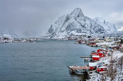 Premium Photo | Reine fishing village norway