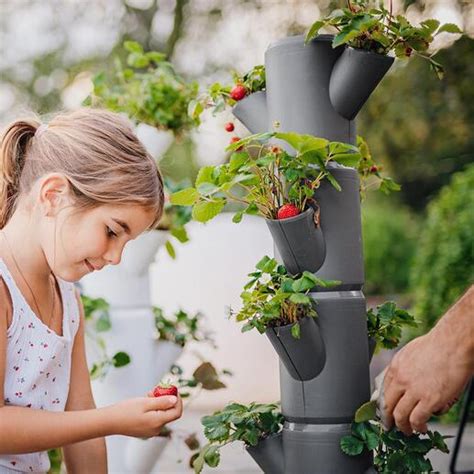 Pflanzbaum Mit 6 Etagen 3 Jahre Garantie Pro Idee