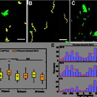 X Fastidiosa Single Cell Motility Changes On Different Surface