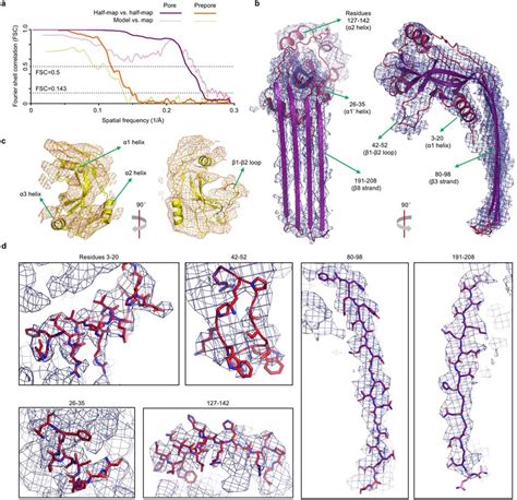 Analysis Of Cryo Em Densities And Models A Half Map To Half Map And