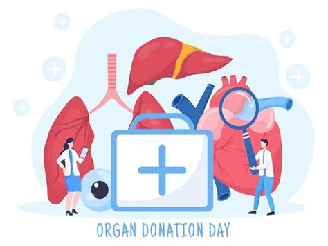 The Global Organ Shortage Doctor Explains How World Organ Donation Day