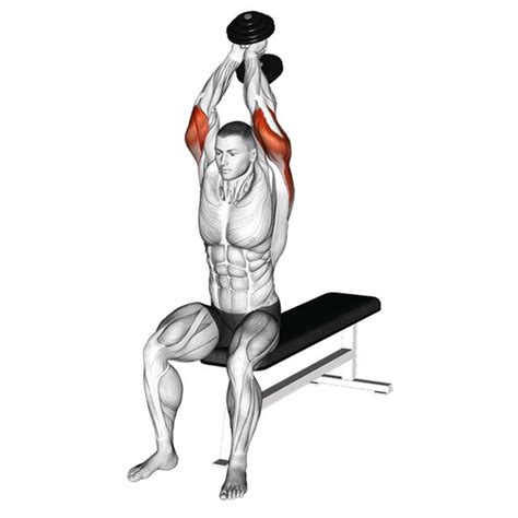 Dumbbell Tricep Extension By John M Exercise How To Skimble