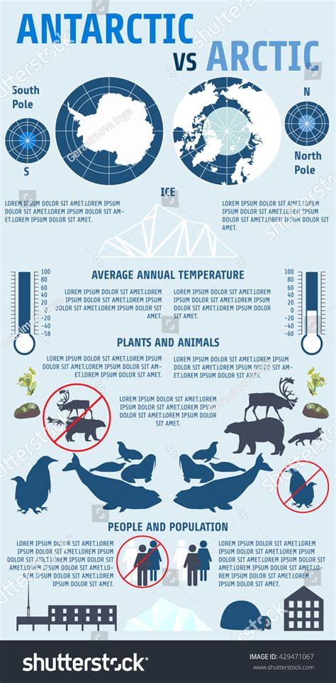 Antarctic Vs Arctic Infographics.North Pole, The South Pole, The Polar ...