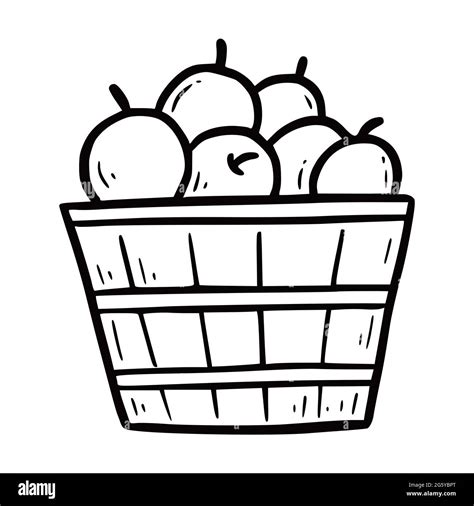 Hand drawn apple with wooden basket. Doodle sketch style. Drawing line ...