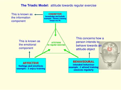 Anxiety Aggression Attitude COLLYERS