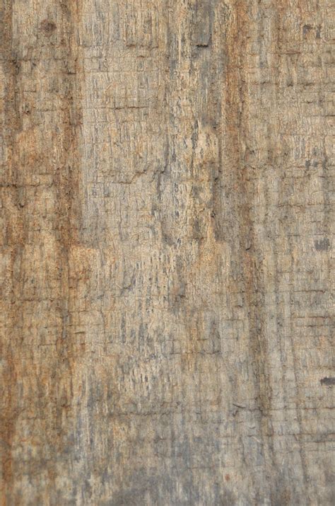 Aged Wood Texture 1 Free Photo Download Freeimages