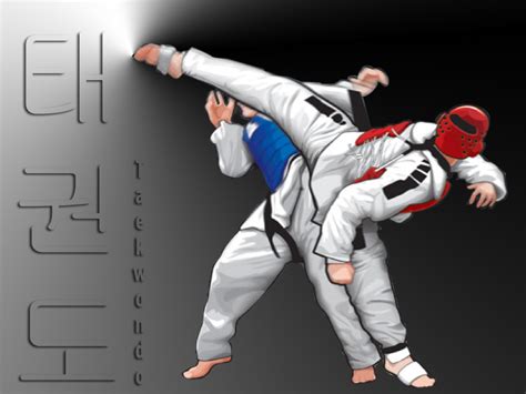 Taekwondo Wallpapers Wallpapersafari